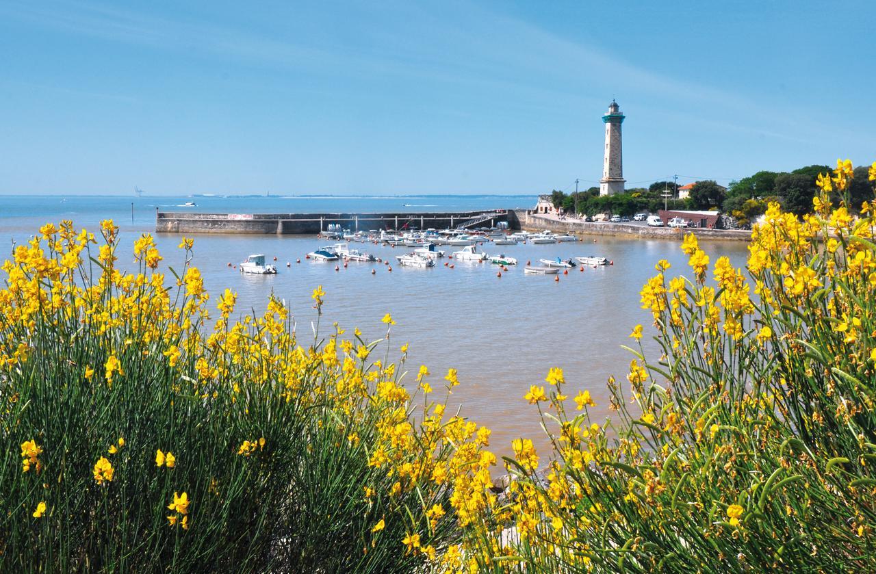 Camping Le Dauphin Hotel Saint-Georges-de-Didonne Eksteriør billede
